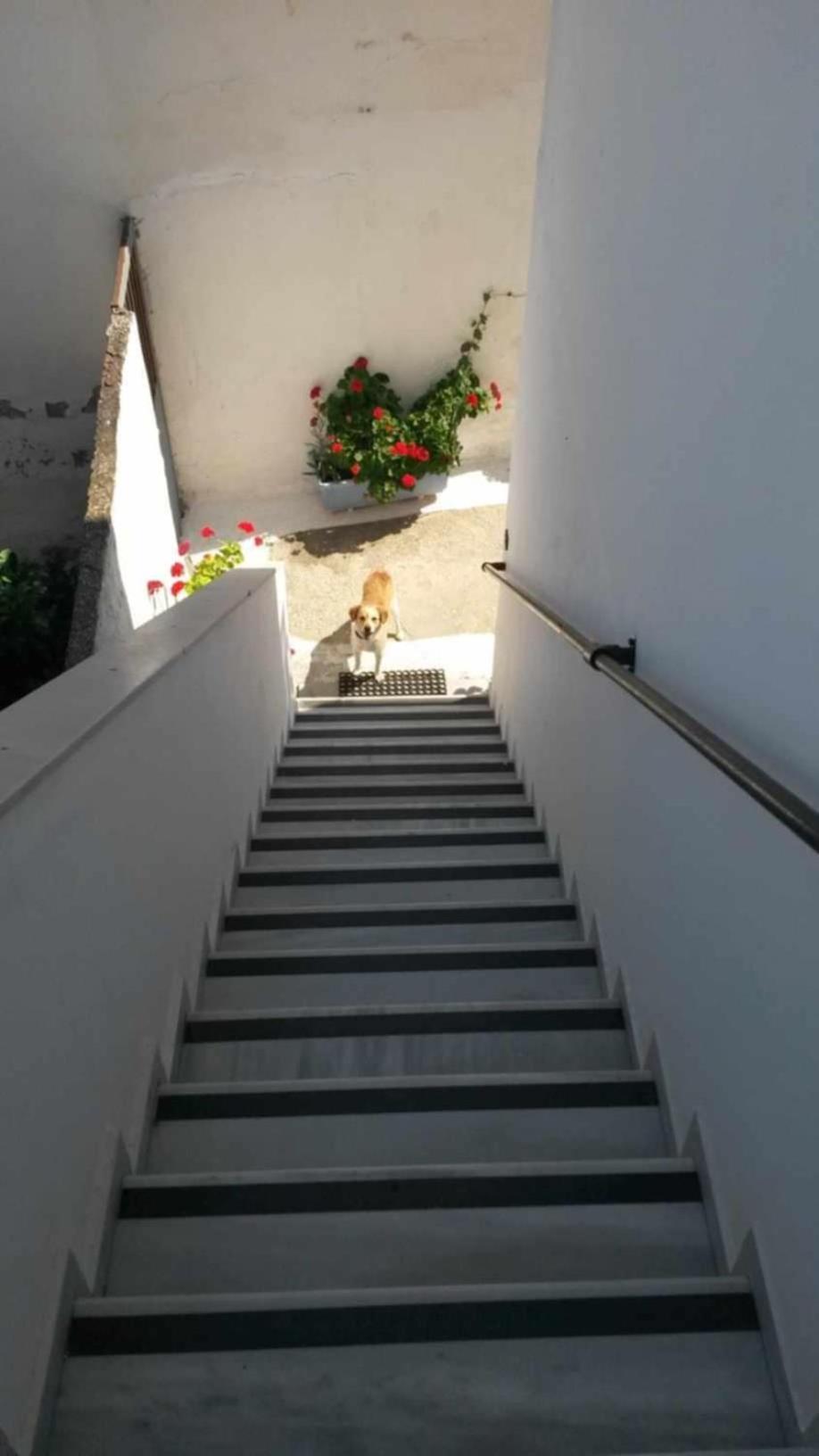 Kostas Studios Apartments - Ενοικιαζόμενα Δωμάτια Με Κουζινάκι Myrina Luaran gambar
